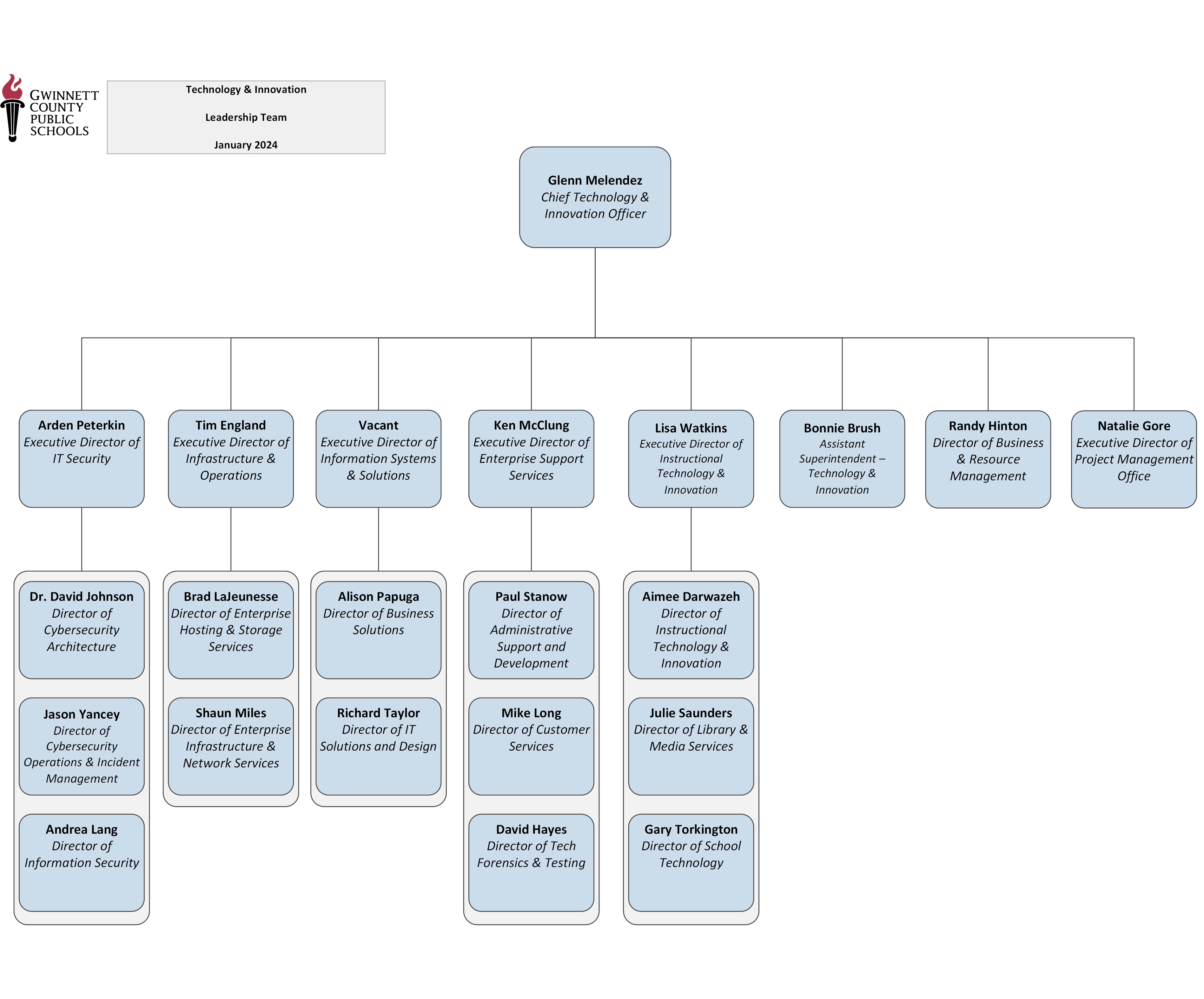 Technology and Innovation Organizational Structure